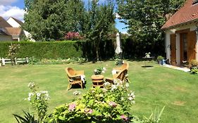 Les Prémices De La Forêt